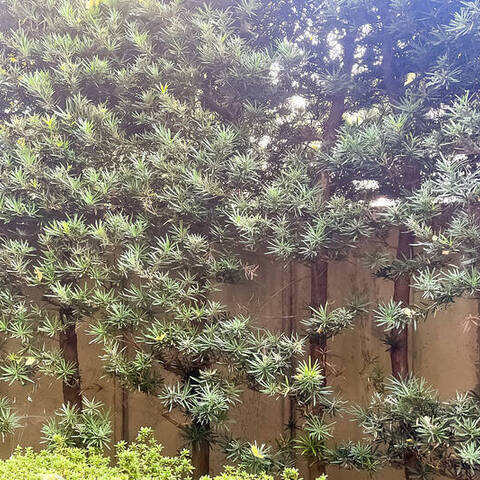 経堂オリエントコートの室内写真