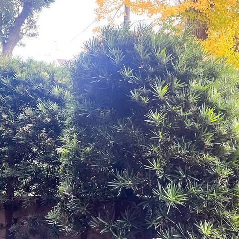 経堂オリエントコートの室内写真