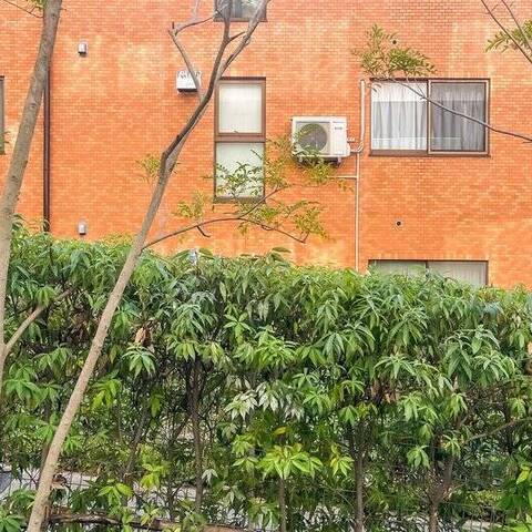 ブランズ麻布狸穴町の室内写真