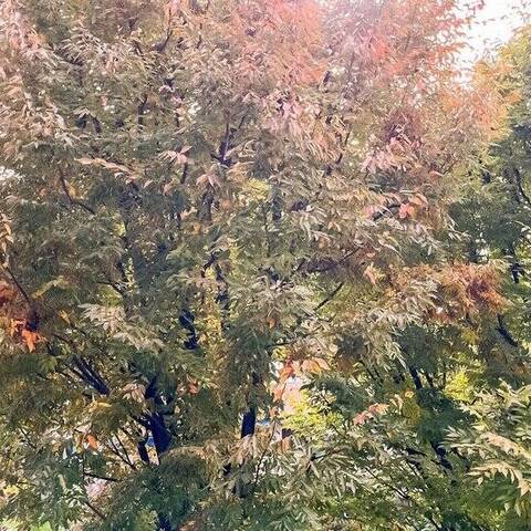 山王ガーデンハイツの眺望・バルコニー写真