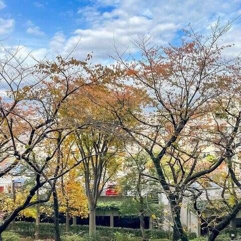 山王ガーデンハイツの眺望・バルコニー写真