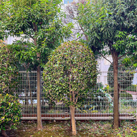 国分寺本町シティハウスの室内写真