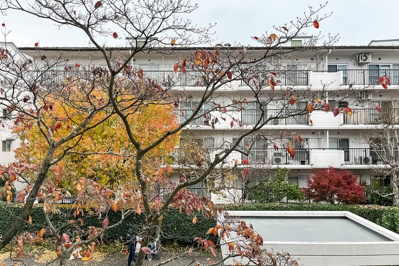 敷地内の植栽越しに別棟のバルコニーが見えています。窓から紅葉まで楽しめるなんて、なんて贅沢なんでしょう……。