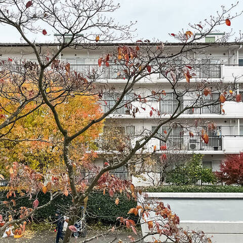 西国分寺史跡通り住宅４号棟の眺望・バルコニー写真