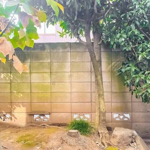 ソブリン洗足の室内写真