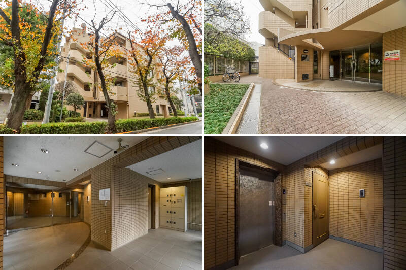 <b>左上・</b>紅葉する桜並木越しに見る、建物全景です。1991年築の新耐震基準適合マンションで、2017年に直近の大規模修繕工事を完了しています。／<b>右上・</b>優しいカーブを描くエントランス。左奥に、住戸の専用庭につながるゲートがあります。／<b>左下・</b>ホールには宅配ボックスやオートロックを完備。／<b>右下・</b>ご紹介の住戸は1階の角に所在しており、ほかの住戸の並びとは離れています。ただしエレベーターの隣なので、住民の方の行き来は多いかもしれません。