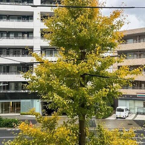 等々力ビューハイツの眺望・バルコニー写真