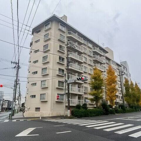 等々力ビューハイツの建物・共用部写真