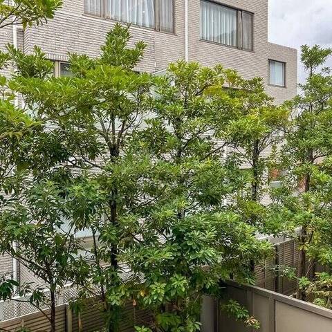 ザ・パークハウスグラン南青山高樹町の室内写真