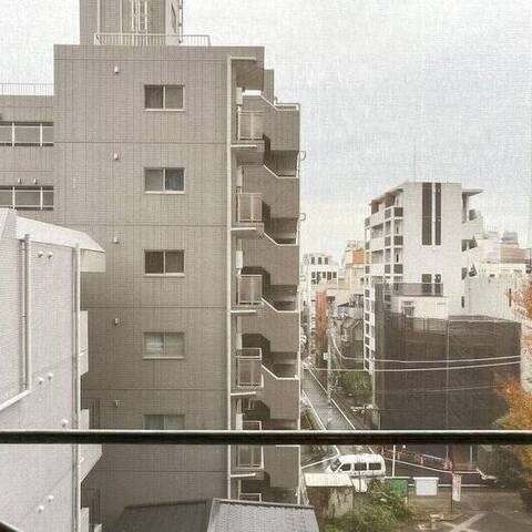 ダイアパレス池袋ルネッサンスの室内写真