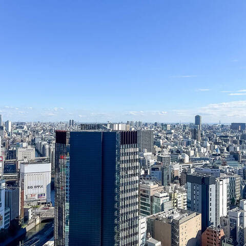 ワテラスタワーレジデンスの室内写真