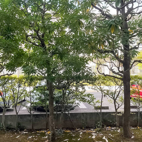 藤和ライブタウン日吉の室内写真