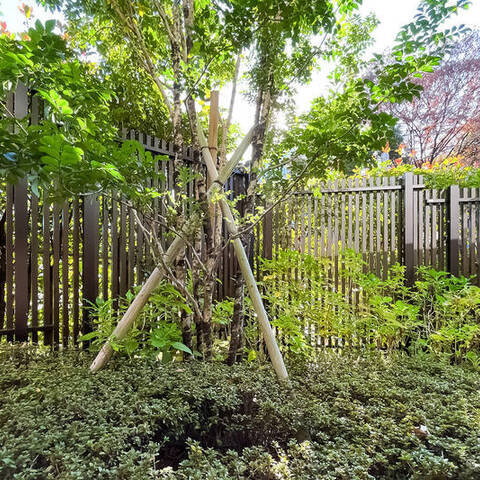 常盤松ハウスの室内写真