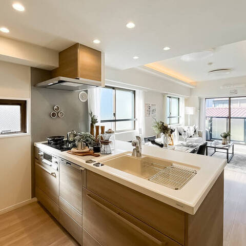 東急ドエルアルス下北沢の室内写真