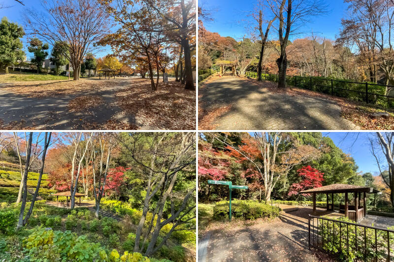 「高根森林公園」は、売主さまもよく散歩に出かけるというスポット。自然豊かで、夏にはカブトムシが見つかるほどだとか。(徒歩7分)