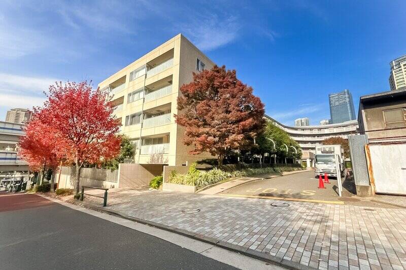 建物は「日向坂」から奥まった位置に佇んでいます。手入れの行き届いたアプローチ沿いの植栽が爽やか。