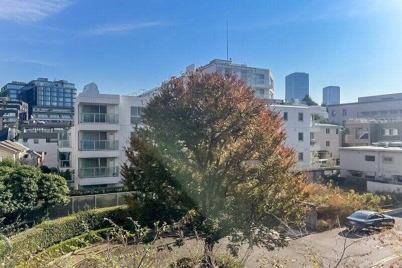 眼下には敷地内のロータリー。この空間があることで周囲の建物から距離が取れており、シンボルツリーが目隠しの役割を果たしています。