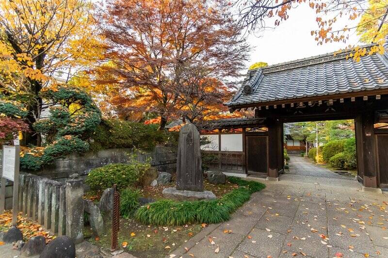 <p>「高円寺」という名の通り、街を歩くと寺院を多く見かけます。街散策の途中、夕陽に照らされた紅葉に思わず見惚れて立ち止まったのが「西照寺」。お寺には、季節の移ろいや時間の流れを感じられる独特の空気がありますよね。（徒歩5分）</p>