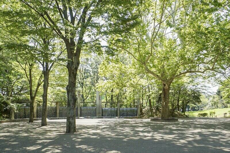 「蚕糸の森公園」は水辺や広場などがあり、広々とした公園です。隣接する「杉並区立杉並第十小学校」と公園は一体となっています。自然を感じたくなったらこちらへどうぞ。（徒歩4分）