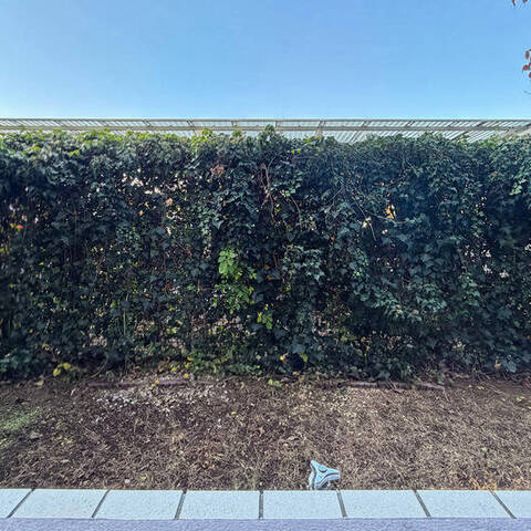 クレッセント高津リバーウィンドの室内写真