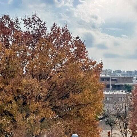 ワールドパレス椎名町ビシームの室内写真