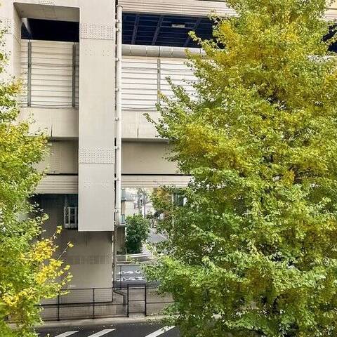 日神パレステージ大山の室内写真