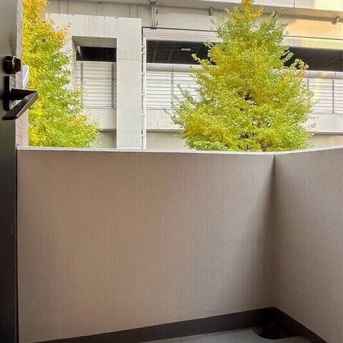 日神パレステージ大山の室内写真