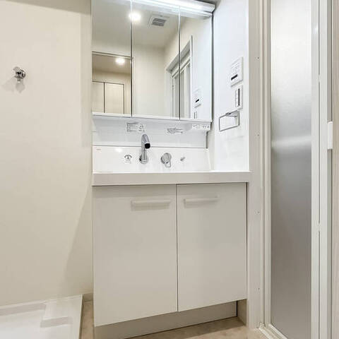 ライオンズマンション新富町の室内写真