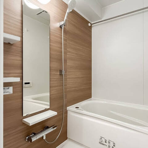 ライオンズマンション新富町の室内写真