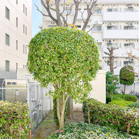 エステート猿江(1〜3号棟)の室内写真