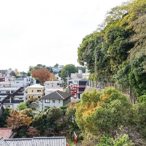 パークハイム南軽井沢の眺望・バルコニー写真