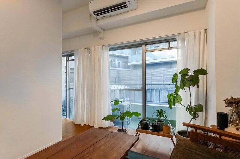 柔らかな日差しが差し込む窓辺で植物たちも元気そう！