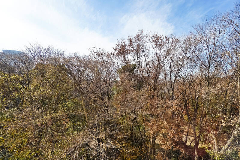 住戸は8階所在。。南西側のバルコニーは「六義園」の木々に向かって突き出しており、外に出れば視界いっぱいに広がる自然を楽しむことができます。