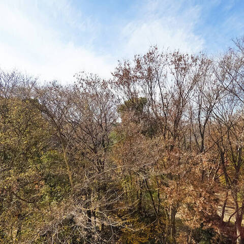 六義園第六コーポの眺望・バルコニー写真