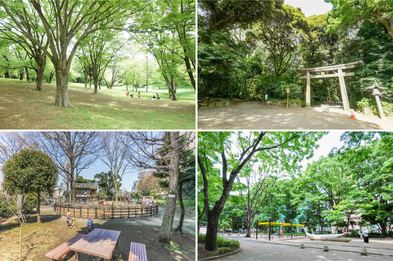 <b>左上・</b>54万㎡もの広さを誇る「代々木公園」。ドッグランも併設されています。（徒歩18分）／<b>右上・</b>神聖な空気漂う「明治神宮」。全国から献木された約10万本を延べ11万人が植樹し “永遠の杜” を目指して造られました。（徒歩7分）／<b>左下・</b>明治神宮西参道鳥居のすぐ近くには「代々木公園ポニー公園」。（徒歩6分）／<b>右下・</b>リニューアル以降明るい雰囲気に生まれ変わった「新宿中央公園」。（徒歩10分）