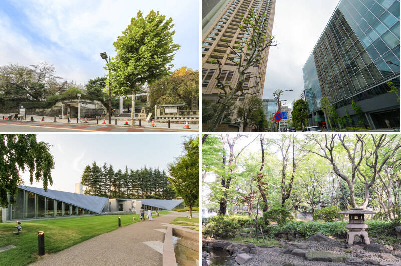 <p><b>左上・</b>最寄り駅のひとつ東京メトロ千代田線「乃木坂」。「乃木神社」が隣接しており、緑豊かな環境です。(徒歩7分)/<b>右上・</b>都営大江戸線・東京メトロ銀座線・半蔵門線が通る「青山一丁目」駅。新宿、渋谷、新橋、大手町といった都内の主要駅に乗り換えなしでアクセスできます。(徒歩7分)/<b>左下・</b>「東京ミッドタウン」裏の「ミッドタウン・ガーデン」はこのエリアのオアシス。高層ビルを眺めながら緑に癒される、贅沢なスポットです。(徒歩10分)/<b>右下・</b>緑豊かな「高橋是正翁記念公園」。四季の移ろいを楽しめそうです。(徒歩6分)</p>