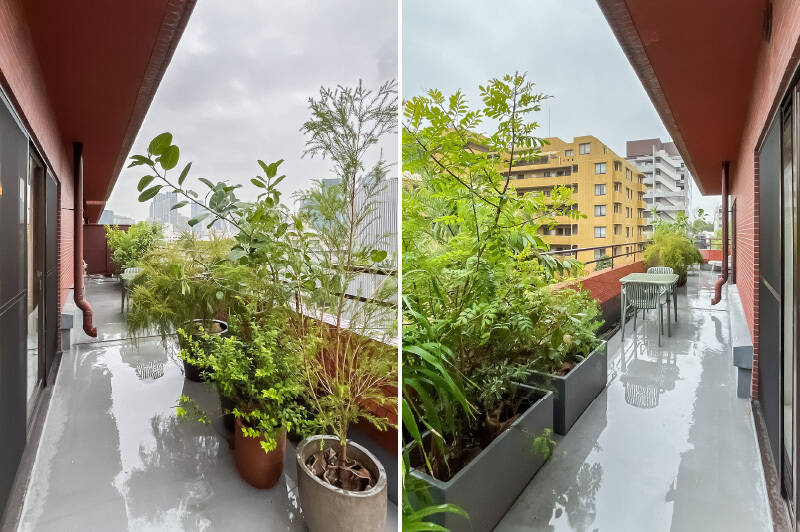 取材日はあいにくの雨模様でしたが、南向きのバルコニーなので、写真のように観葉植物を置けば元気に育ってくれそうです。