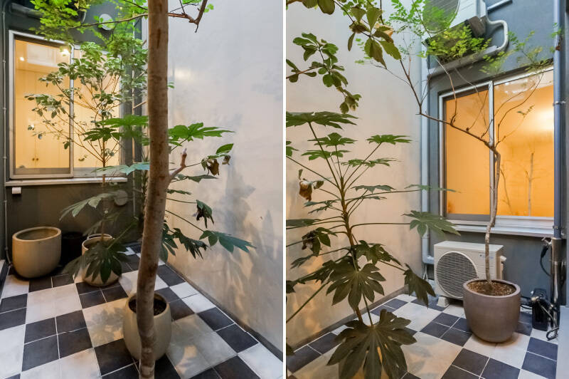 LDK、キッチン奥の個室に囲まれたドライスペース。現在置かれている観葉植物はそのまま残されるそう。水栓が付いているので、水やりが楽ですね。