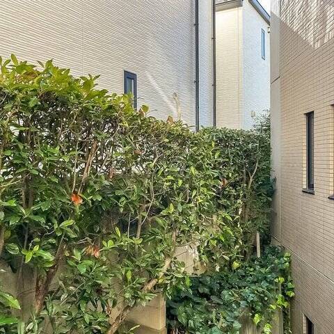 ライフアップ高井戸の室内写真