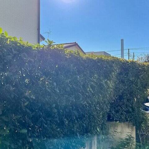 ライフアップ高井戸の室内写真