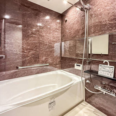 エバーグリーンパレス浅草の室内写真