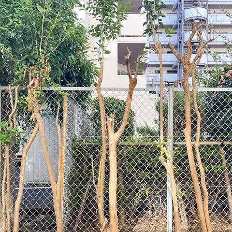 仲六郷ハウスの室内写真