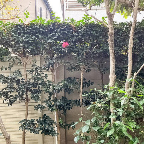 イースタンホームズ若林の眺望・バルコニー写真