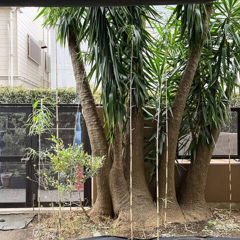 ルイシャトレ自由が丘の室内写真