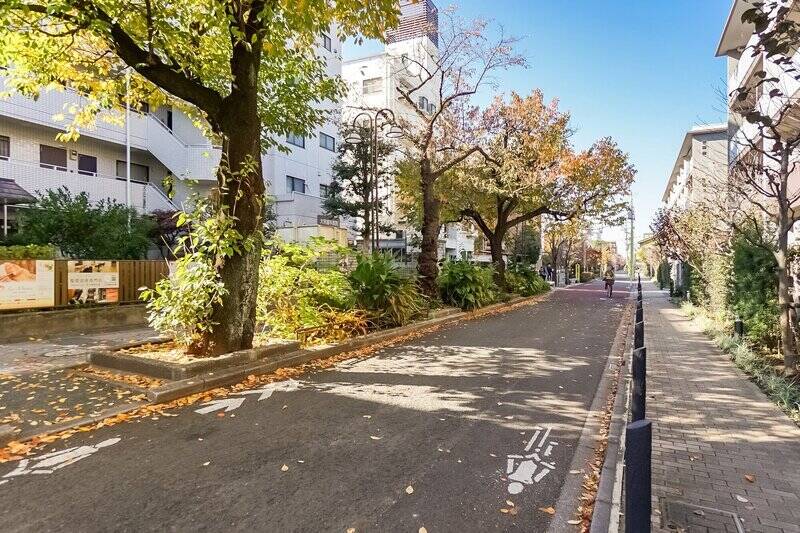 コンクリートブロックをかみ合わせて敷設するインターロッキング舗装と、道沿いの植木で雰囲気もよいです。街頭もあり、マンションまでフラットアクセス。