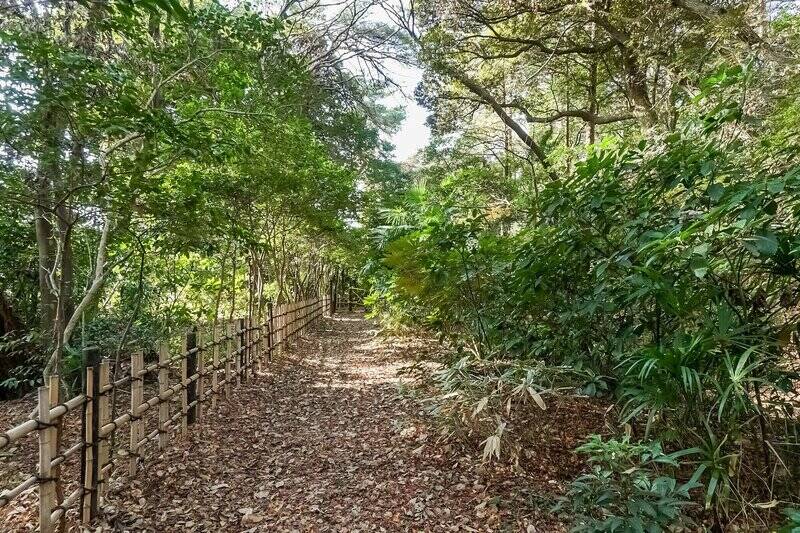 こちらはマンションを出て裏手にある「静嘉堂緑地」。ぜひ航空写真で一度マンション周辺を見てみてください。いかに緑に囲まれているかがよく分かりますよ。（徒歩1分）