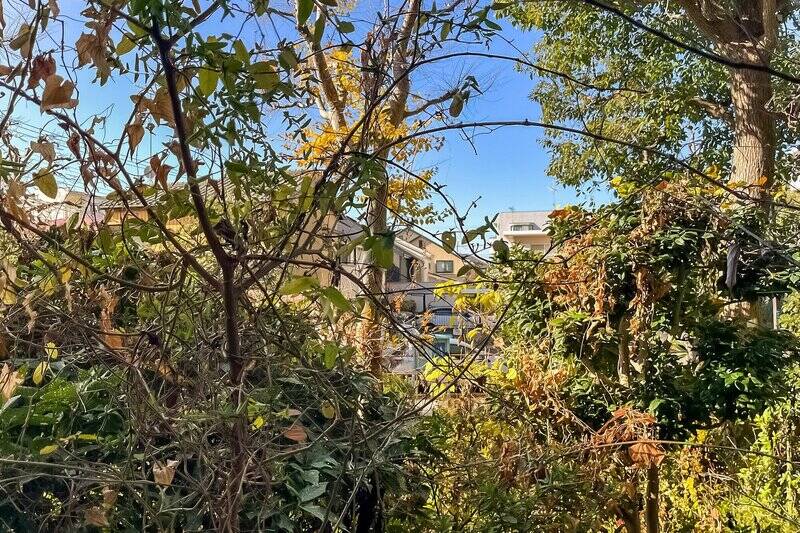 1階に所在する住戸ですが、敷地内にグリーンがしっかりと植えられており、外からの視線を優しく遮ってくれます。