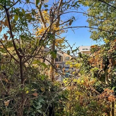 西国分寺史跡通り2号棟の眺望・バルコニー写真