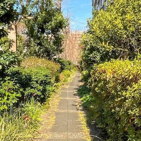 西国分寺史跡通り2号棟の建物・共用部写真