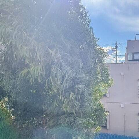 ラヴィドール狛江の室内写真